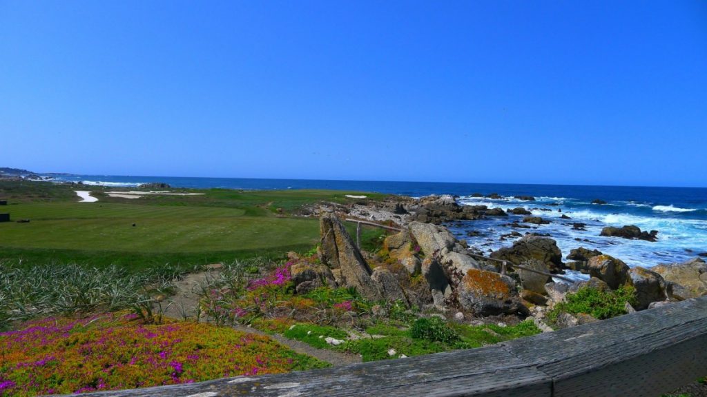 Amazing Monterey California Travel Adventure 2 17 Mile Drive