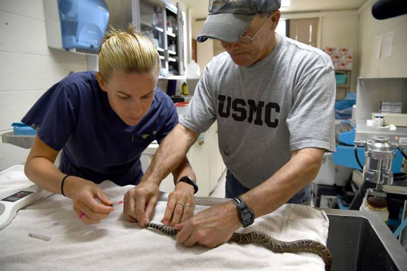 An Unlikely Wildlife Haven On Controversial Guantanamo Bay2