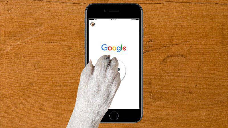 Google April Fools prank is a pet project, fur real