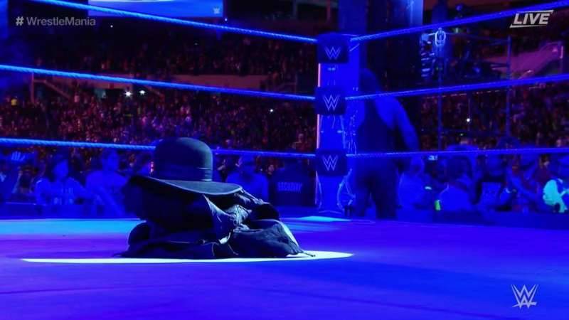 The Undertaker RETIRES and breaks character to hug wife Michelle McCool after brutal Wrestlemania 33 match against Roman Reigns