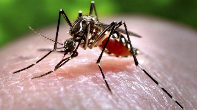 Did India hide its first cases of Zika virus?