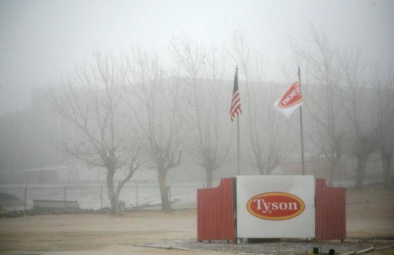 Florida probes Tyson Foods, Pilgrim Pride on chicken pricing