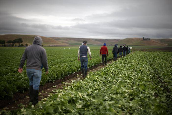 Trump reassures farmers immigration crackdown not aimed at their workers
