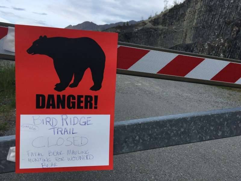 Black bear kills Alaska teen during mountain race