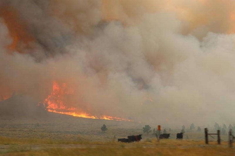 Crews gain ground against Montana wildfire, largest in U.S.