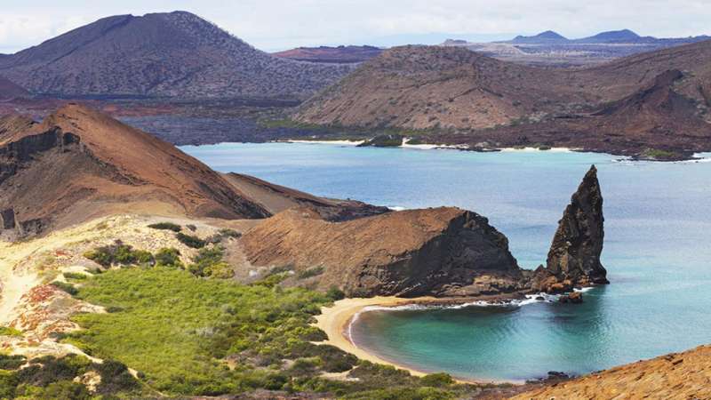 Millennial group tours: Young minds travel alike