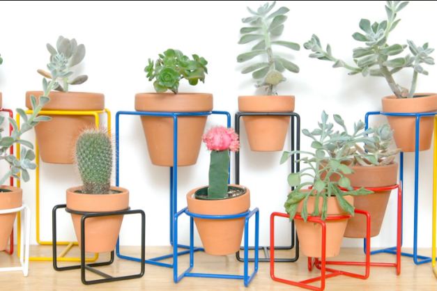 Stay-cool pet bowls, dual-use stools: The latest problem solvers for the home