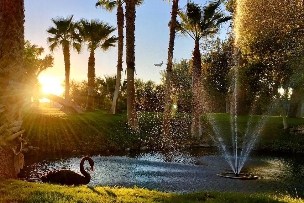 5 Unique Las Vegas Museums