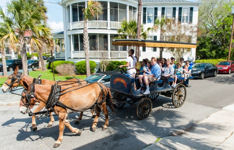 Carriage tours