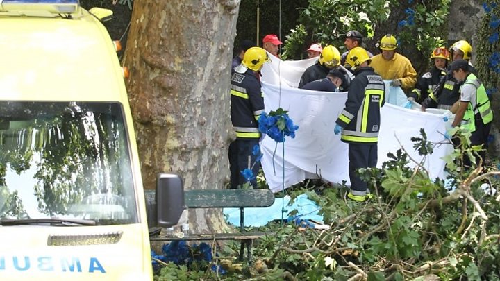Falling tree kills 13 on Portuguese island of Madeira