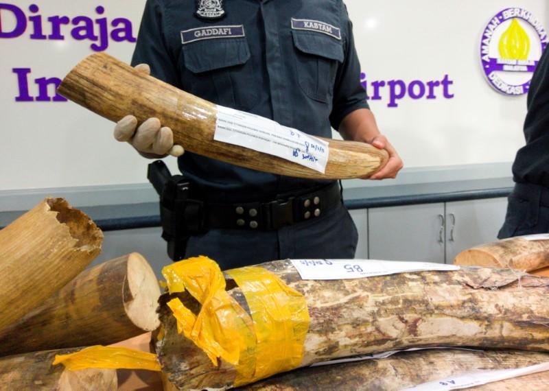 Malaysia seizes nearly $1 million in trafficked wildlife at airport