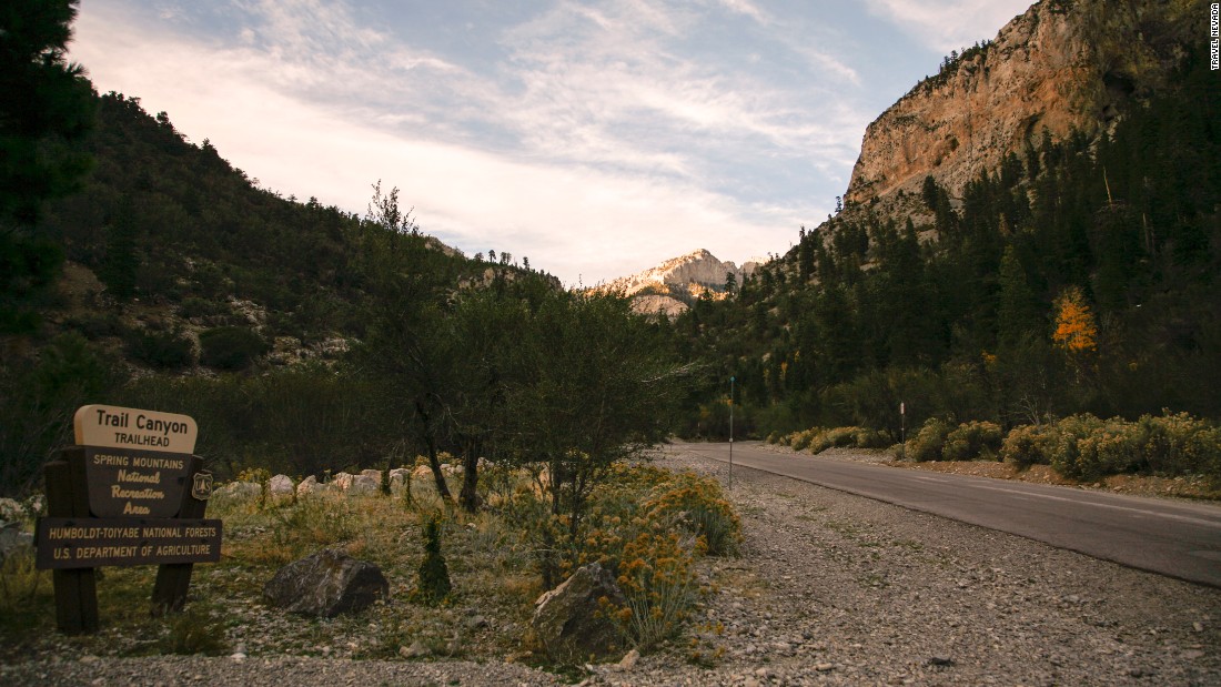Spring mountains national recreation area