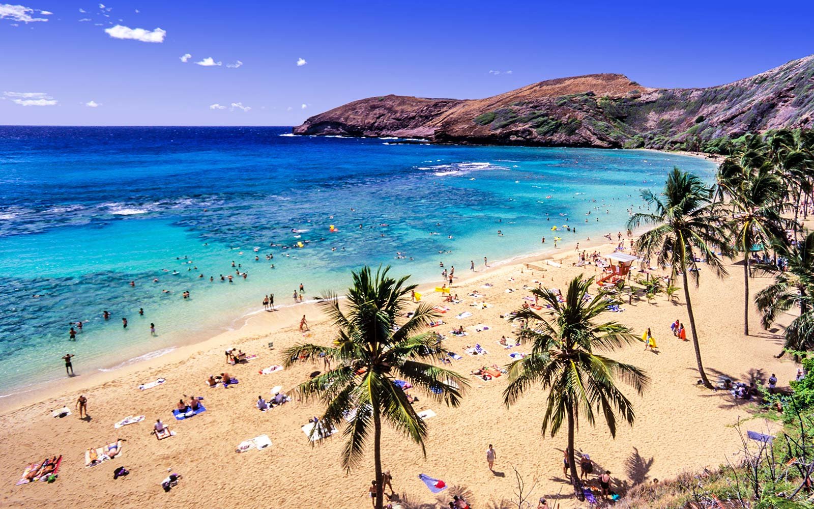Latest Hawaii Flight Deals Cheap Flight Deals to Hawaii in the Skyscanner App