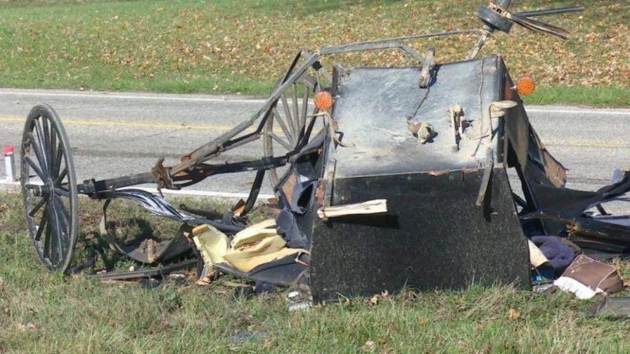 3 children killed, 6 hurt after truck slams into carriage