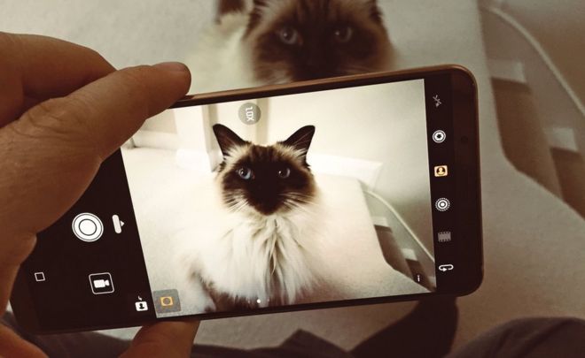Huawei Mate 10 uses AI to distinguish cats from dogs