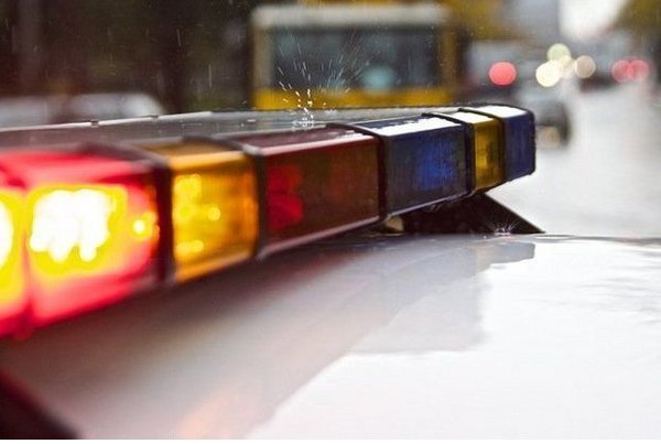 Ohio woman accused of letting 3 dogs starve to death, 4 found malnourished
