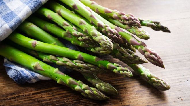 Food may influence cancer spread