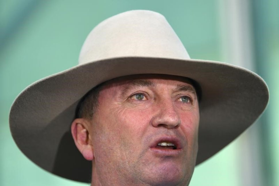 Australia’s deputy PM loses support of state branch over affair