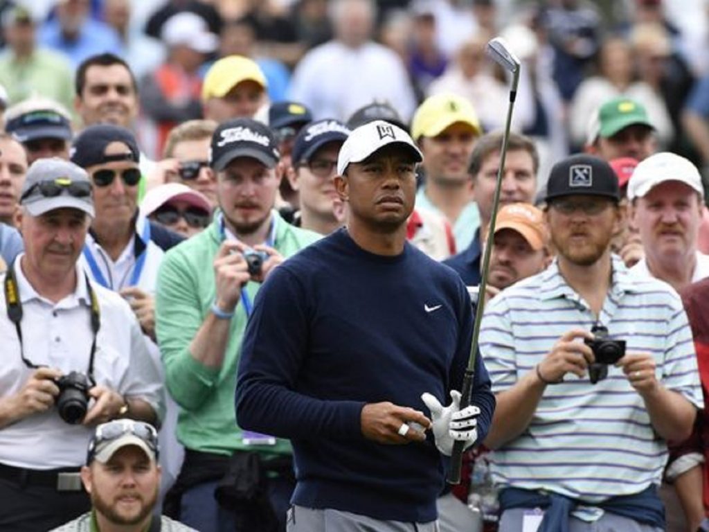 Tiger-mania is back and his competition is eating it up