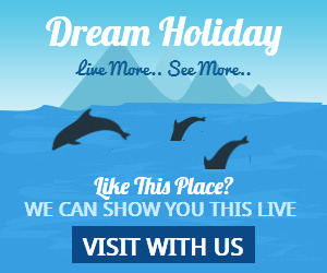 Travel Banner