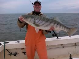 Treemendous Sport Fishing