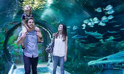 Admission for One Child or Adult to Sea Life Orlando (Up to 25% Off)
