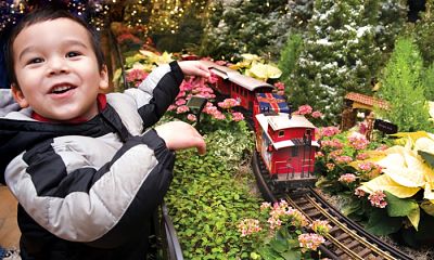 Wonderland Express Visit for Two or Four with Parking at Chicago Botanic Garden (Up to 49% Off)