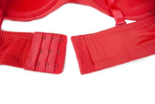 D-Cup Bras with Lace Embroidery (6-Pack)