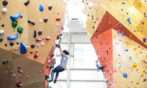 Rock-Climbing Day Pass with Gear Rental or Two-Hour Learn the Ropes Class at Brooklyn Boulders (Up to 51% Off)