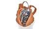 Sociology Magnet Backpack | Groupon Exclusive