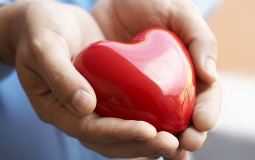 5 Major Things You Need To Know About Cholesterol